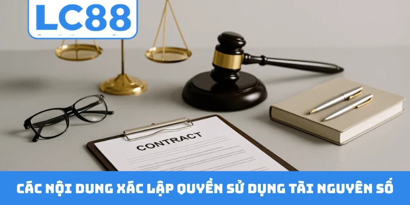 Các nội dung xác lập quyền sử dụng tài nguyên số
